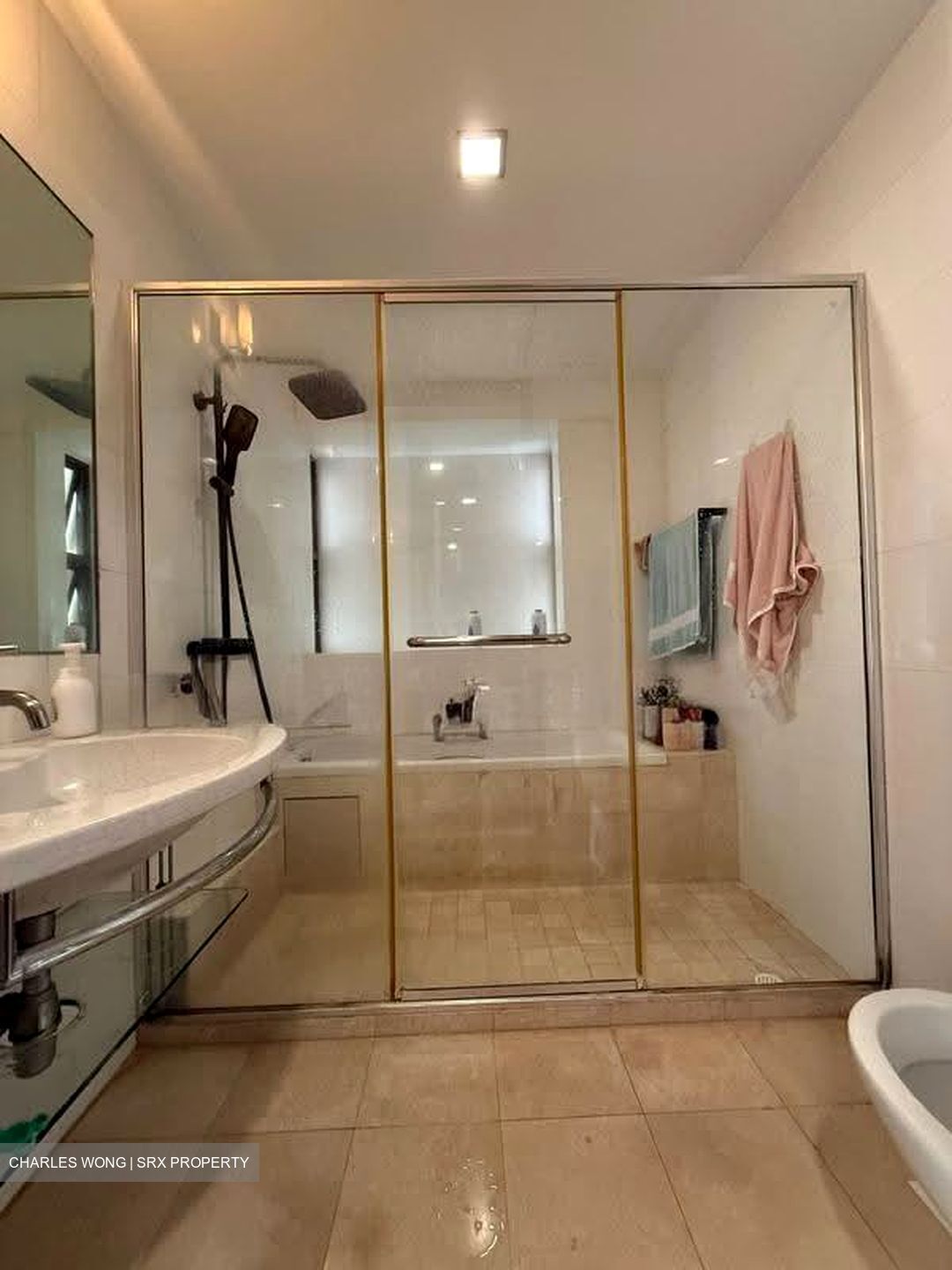Chuan Drive (D19), Terrace #610631381